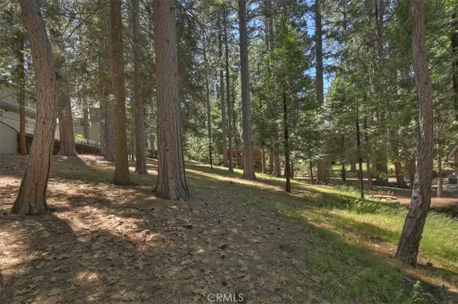 388 Riviera, Lake Arrowhead, CA 92352 - #3