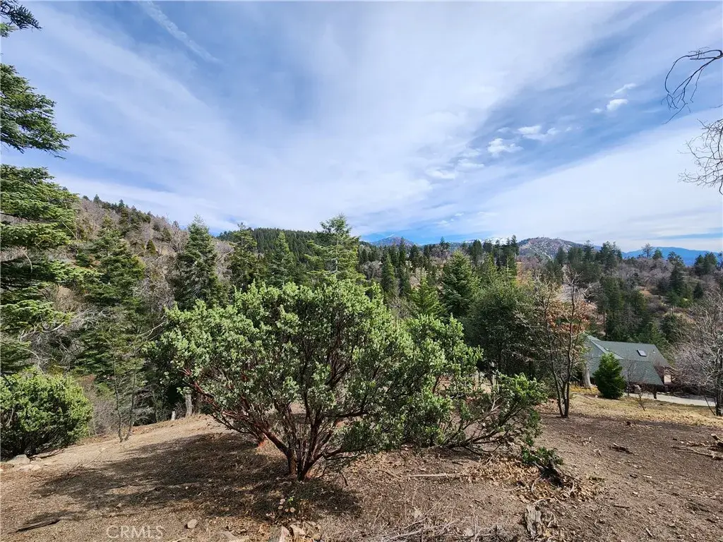30914 Old City Creek, Running Springs, CA 92382 - #1