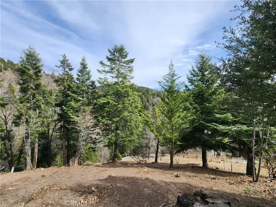 30914 Old City Creek, Running Springs, CA 92382 - #2