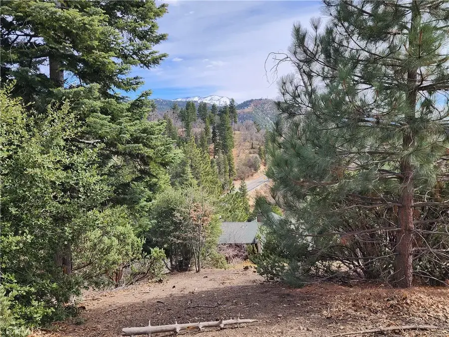 30914 Old City Creek, Running Springs, CA 92382 - #3