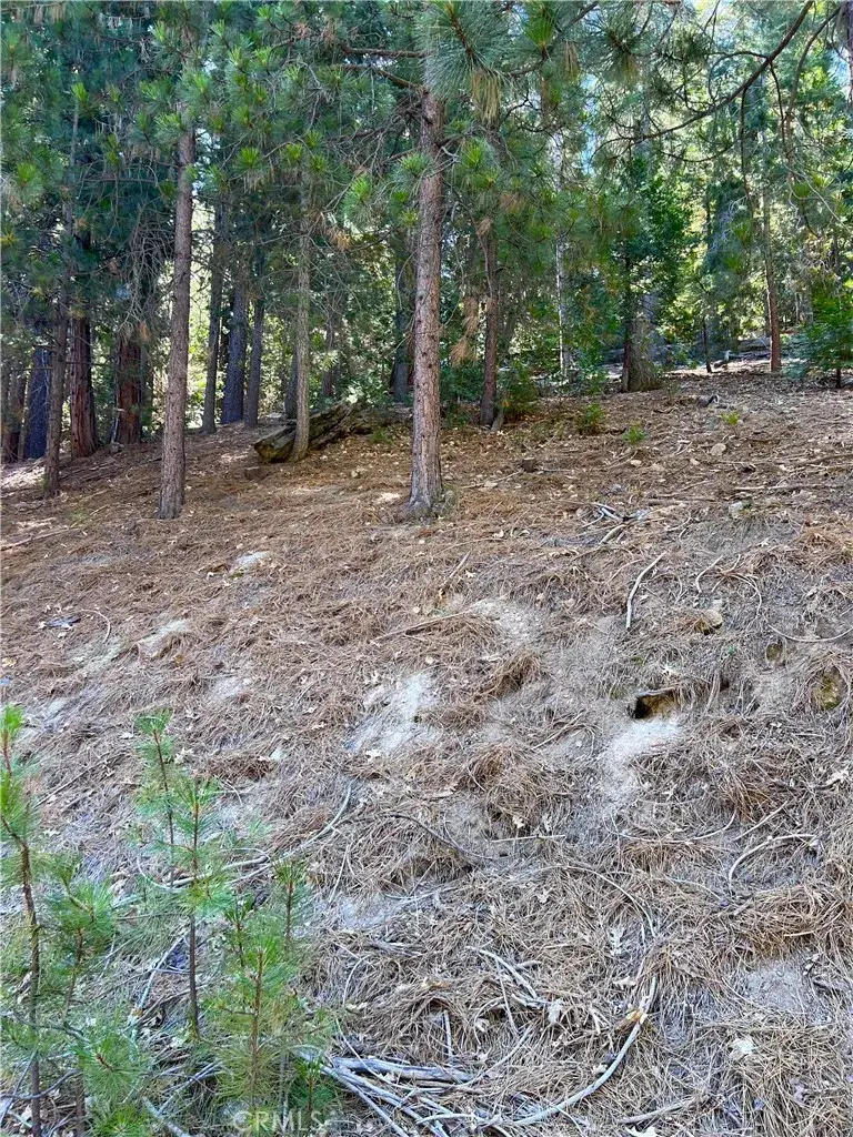 0 Brentwood, Lake Arrowhead, CA 92352 - #2