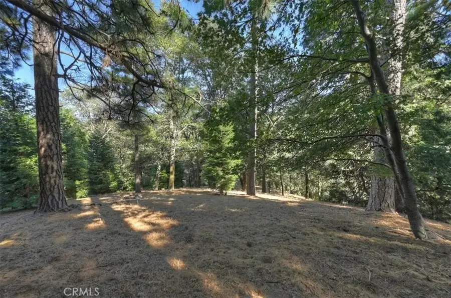 0 Pine, Cedarpines Park, CA 92322 - #2