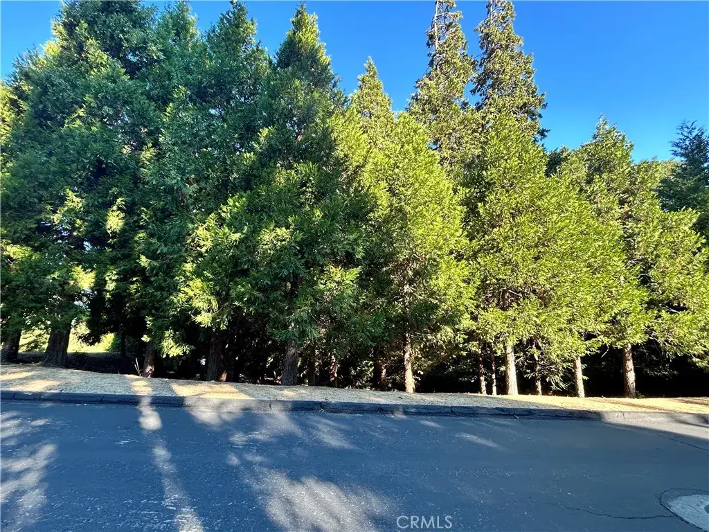 28980 White Dove, Lake Arrowhead, CA 92352 - #1