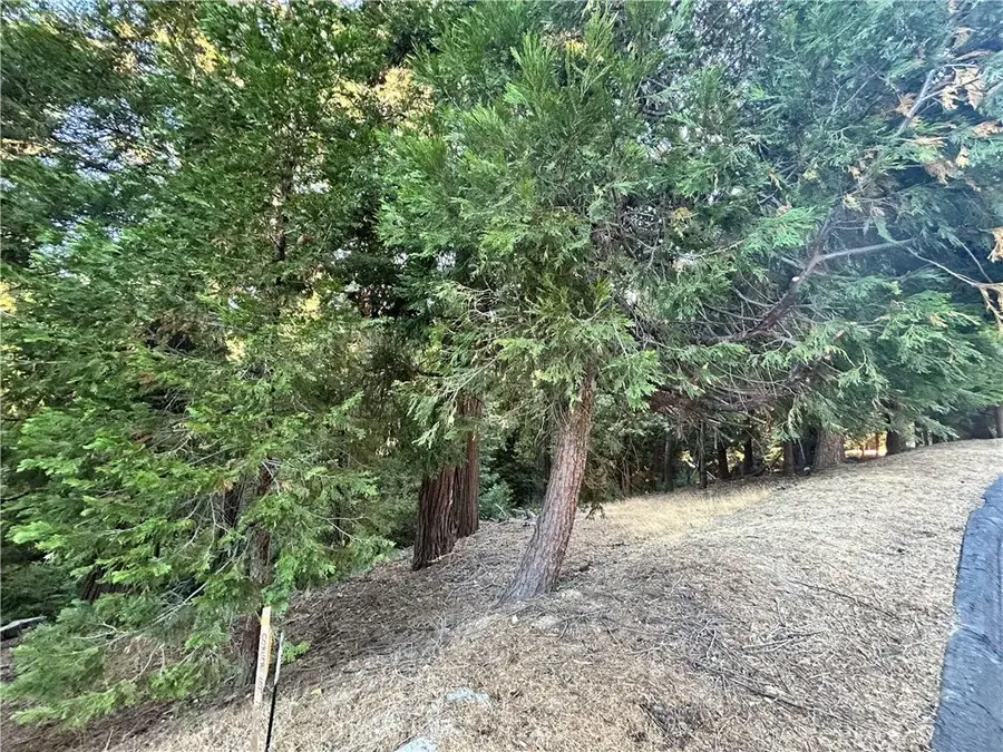 28980 White Dove, Lake Arrowhead, CA 92352 - #3