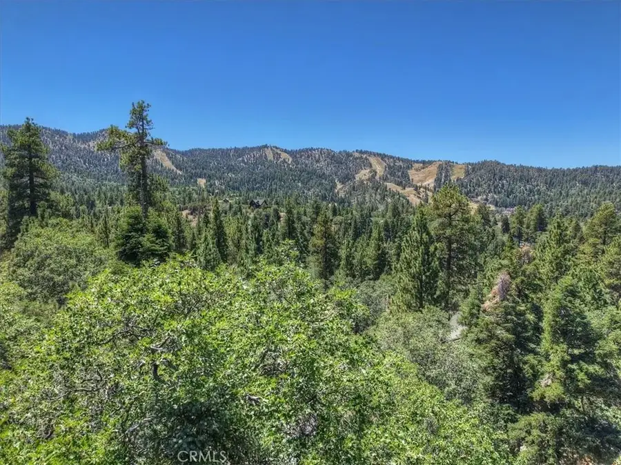 0 Sheephorn, Big Bear Lake, CA 92315 - #3