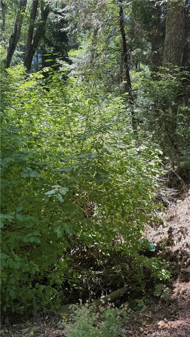 0 Rainbow, Lake Arrowhead, CA 92352 - #2