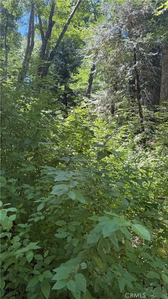 0 Rainbow, Lake Arrowhead, CA 92352 - #3