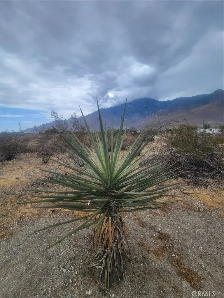 0 Panorama, Whitewater, CA 92282 - #1