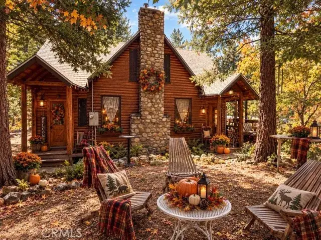 9544 Snow Drift, Forest Falls, CA 92339 - #1