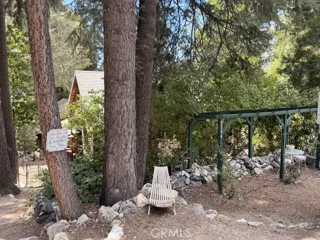 9544 Snow Drift, Forest Falls, CA 92339 - #3