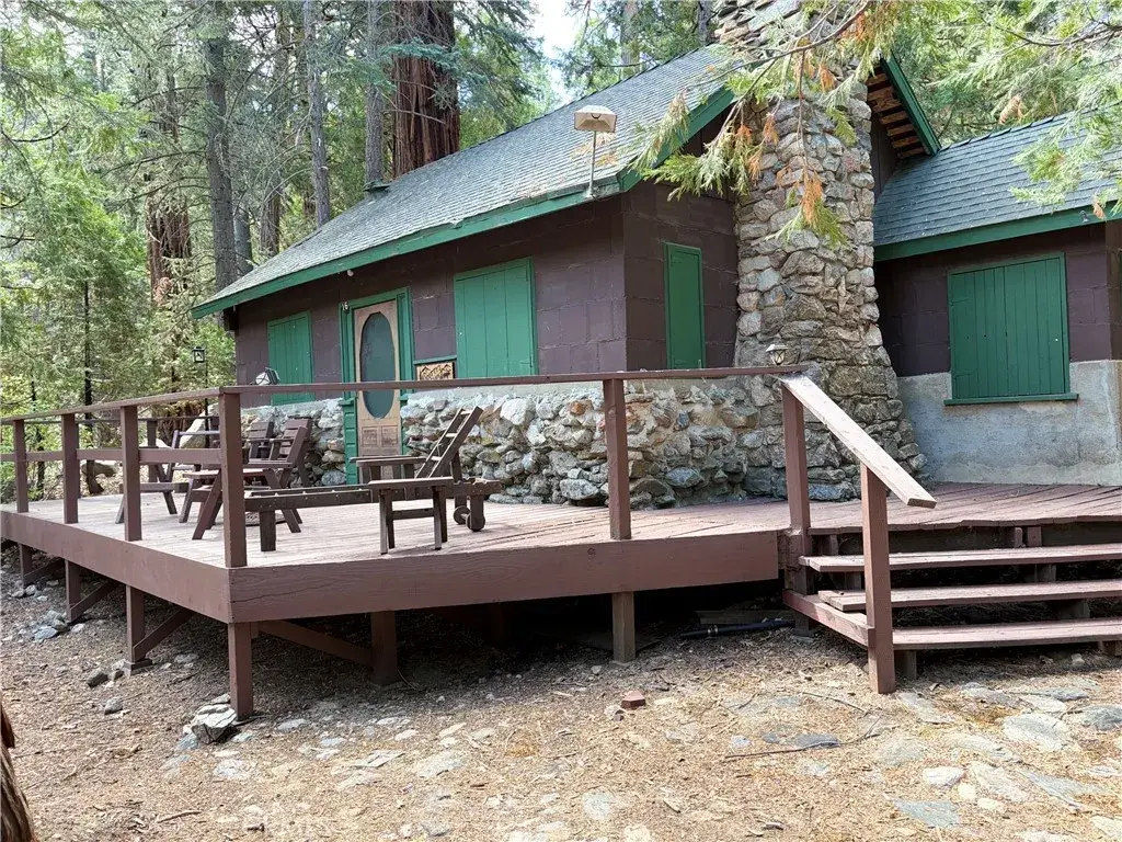 16 South Fork Road, Angelus Oaks, CA 92305 - #1