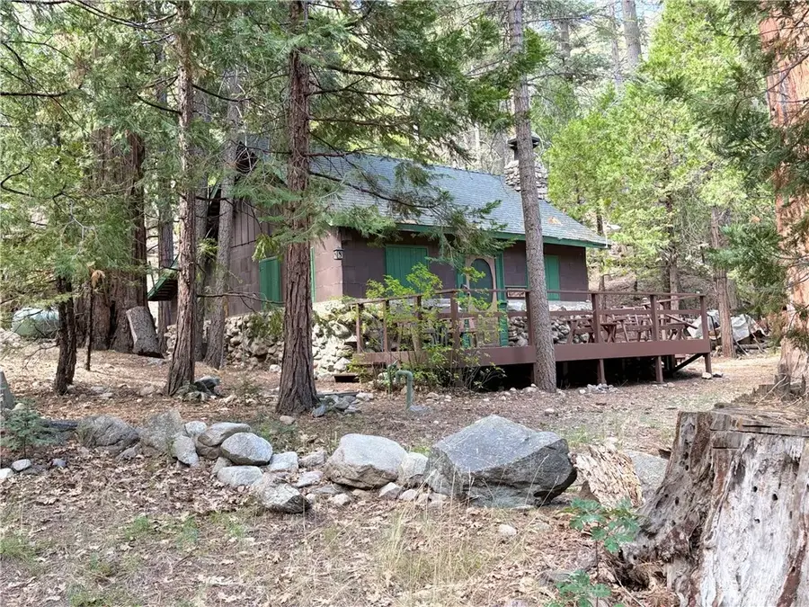 16 South Fork Road, Angelus Oaks, CA 92305 - #3