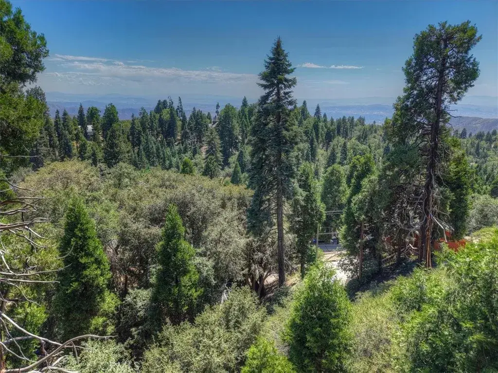31070 Old City Creek, Running Springs, CA 92382 - #1