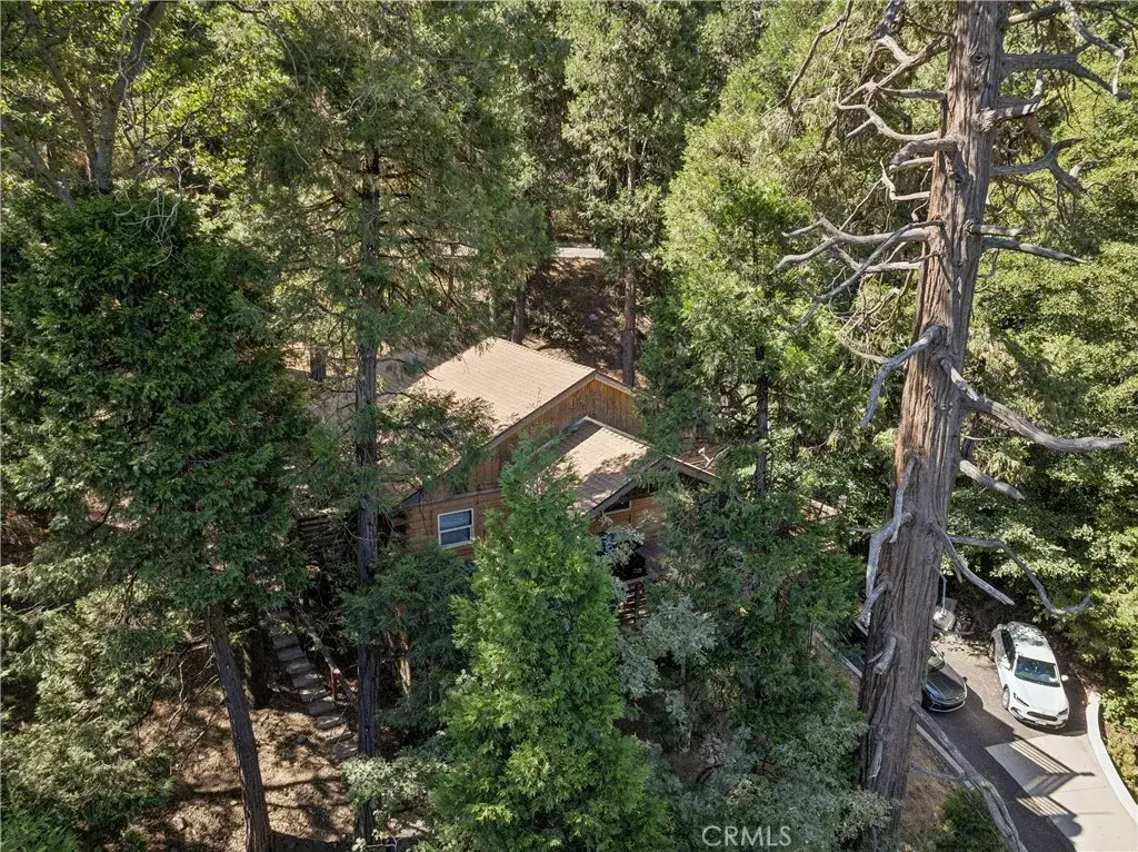 24839 Felsen Drive, Crestline, CA 92325 - #1