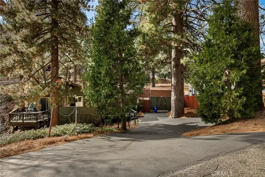 30789 All View, Running Springs, CA 92382 - #3