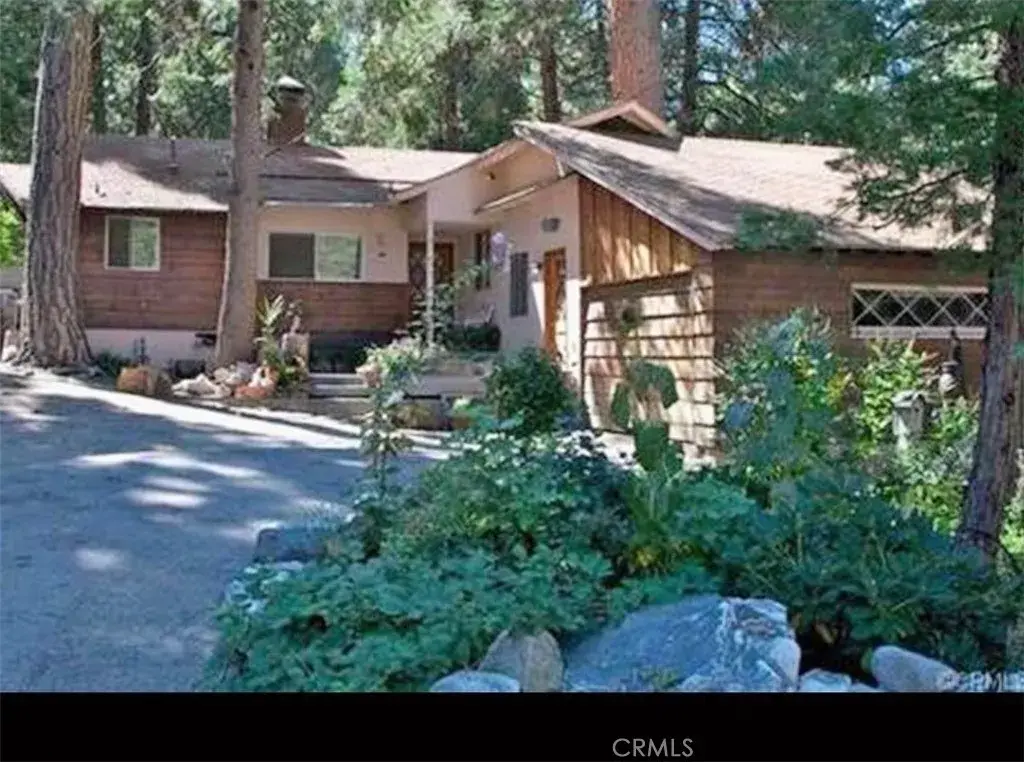 41071 Valley Of The Falls Drive, Forest Falls, CA 92339 - #1