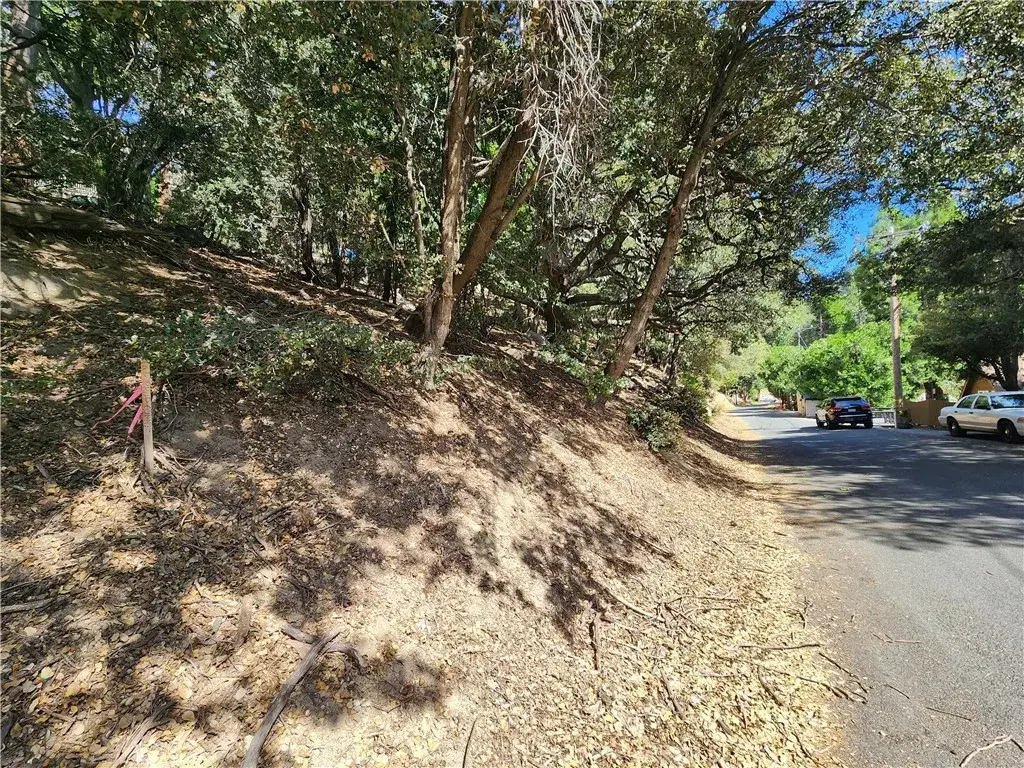 1127 Arbula, Crestline, CA 92325 - #1