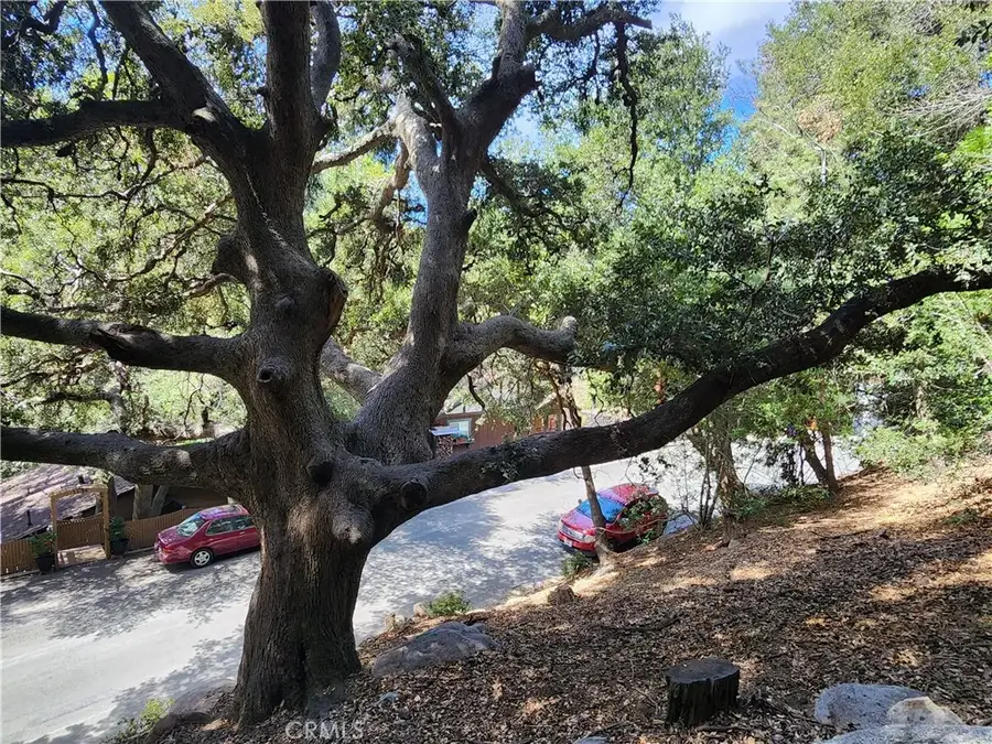 1127 Arbula, Crestline, CA 92325 - #2