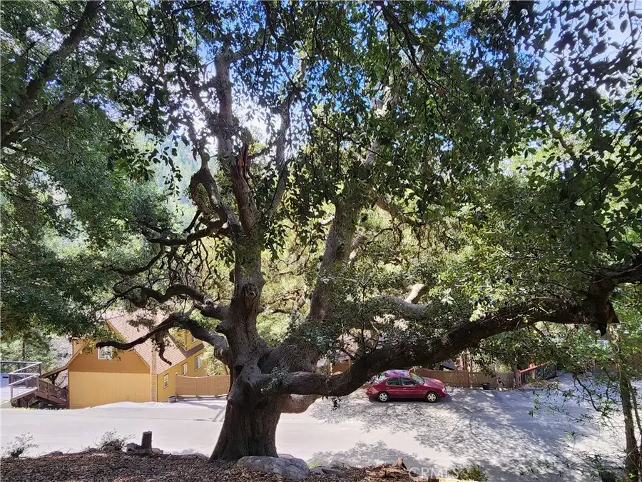 1127 Arbula, Crestline, CA 92325 - #3