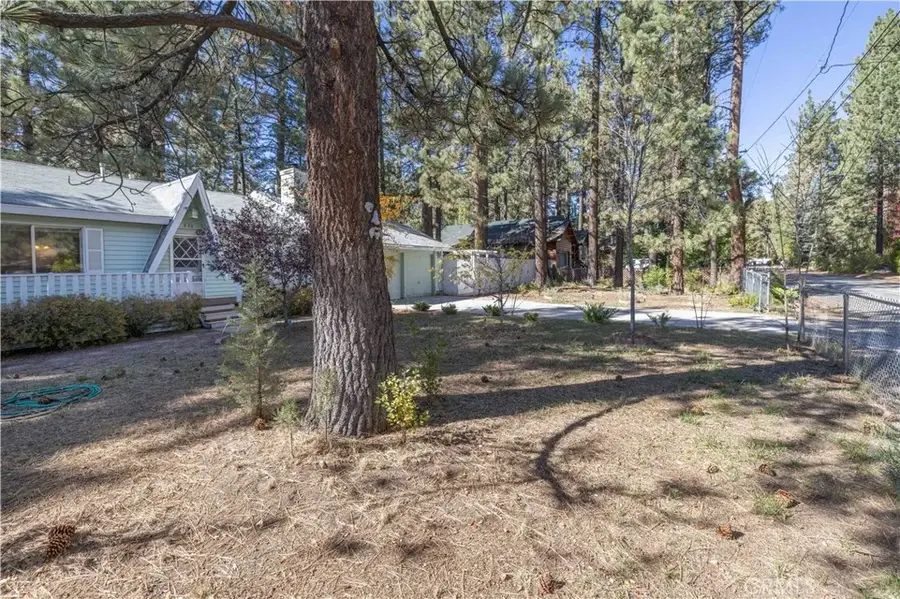 913 Tinkerbell Avenue, Big Bear City, CA 92314 - #2