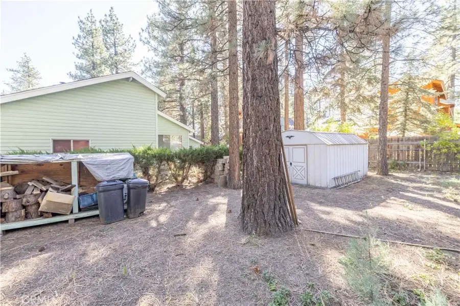 913 Tinkerbell Avenue, Big Bear City, CA 92314 - #3
