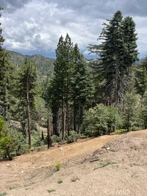 2349 Deep Creek, Running Springs, CA 92382