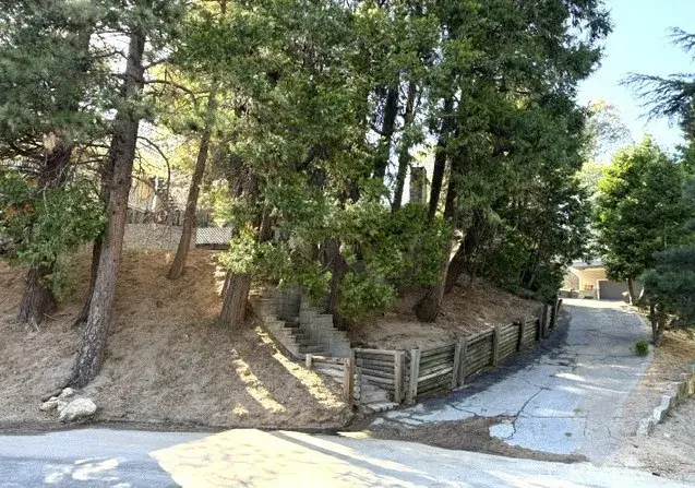 459 Delle, Crestline, CA 92325 - #3