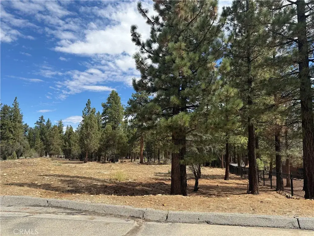0 Alderwood, Big Bear City, CA 92314 - #1