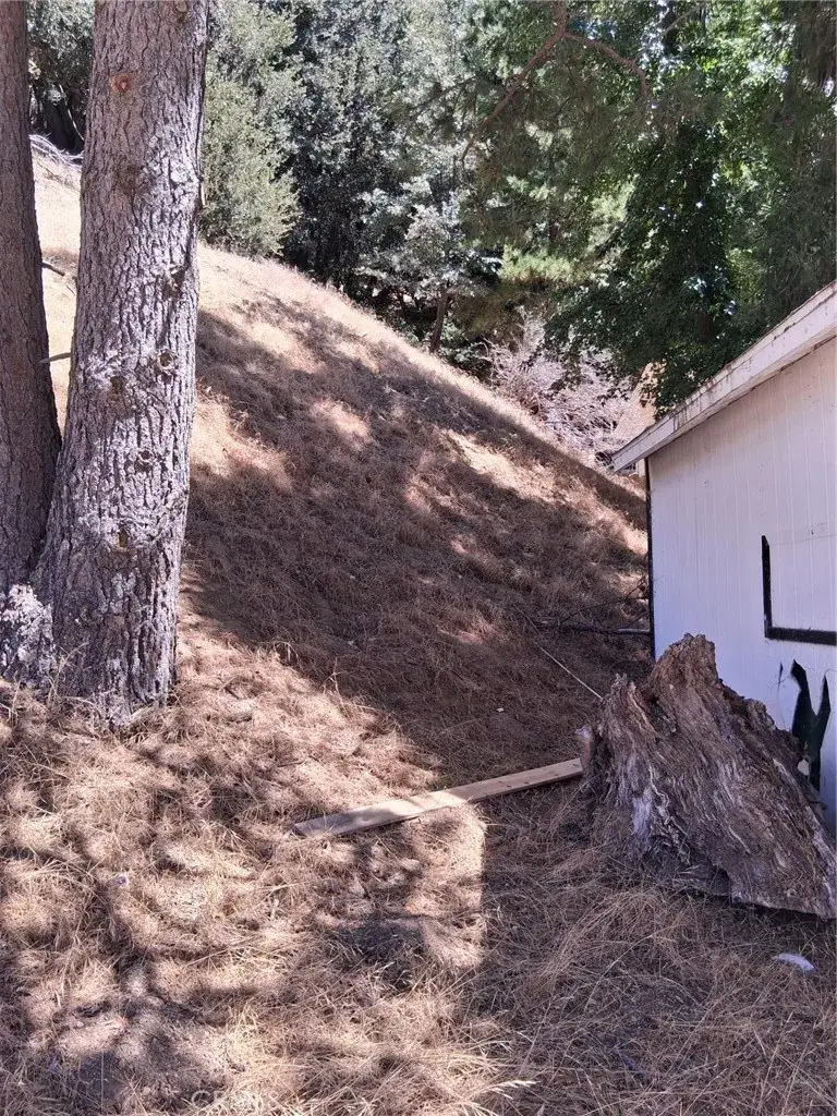 10 Delle, Crestline, CA 92325 - #2