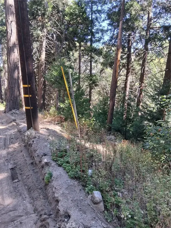 14 Burnt Mill Canyon, Cedarpines Park, CA 92322