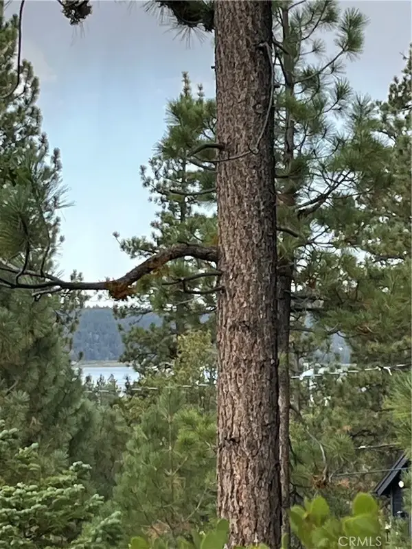 833 Great Spirits, Big Bear Lake, CA 92315