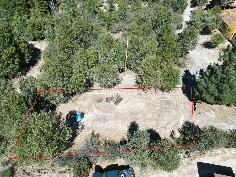 29521 Pineridge, Cedar Glen, CA 92321 - #3
