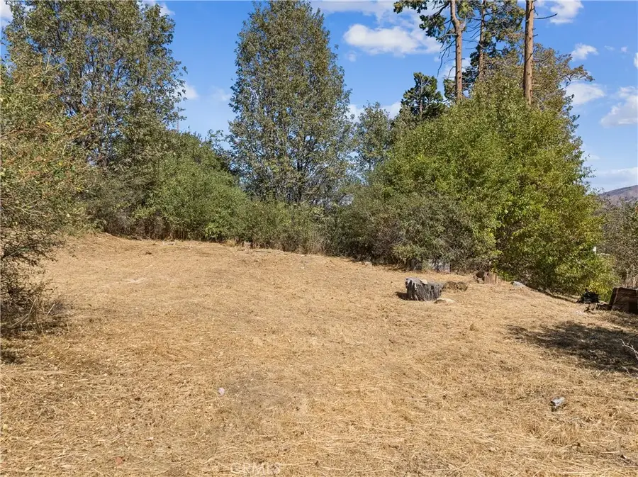 289 Glen Avon, Cedar Glen, CA 92321 - #2
