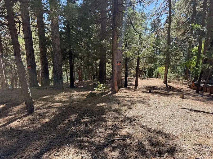 31307 Circle View, Running Springs, CA 92382 - #2