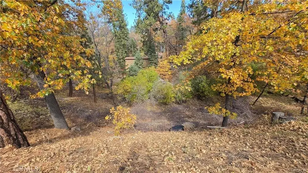1000 Butte, Big Bear, CA 92314 - #1
