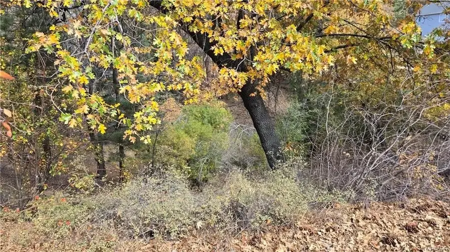 1000 Butte, Big Bear, CA 92314 - #3