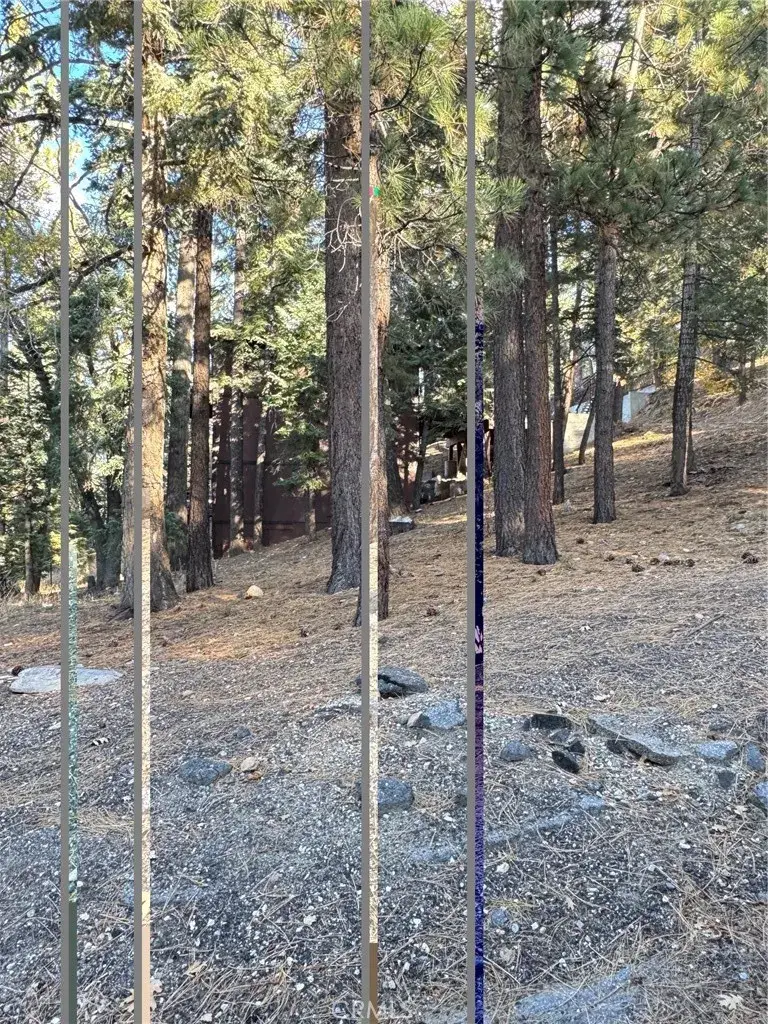 42934 Falls, Big Bear Lake, CA 92315 - #3