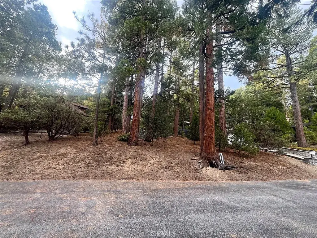 0 Double Tree Dr, Idyllwild, CA 92549 - #1