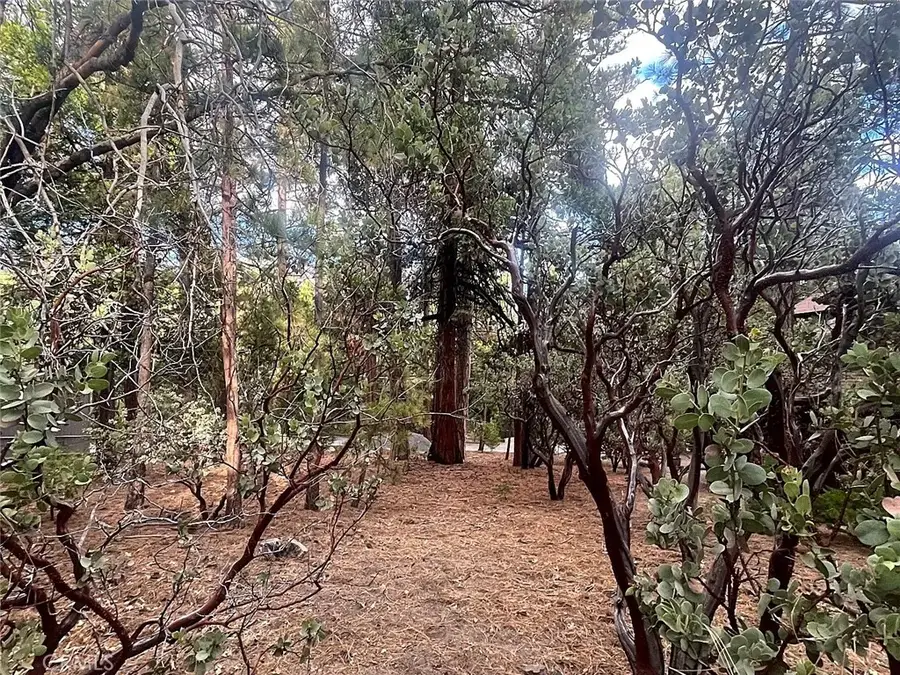 0 Double Tree Dr, Idyllwild, CA 92549 - #2