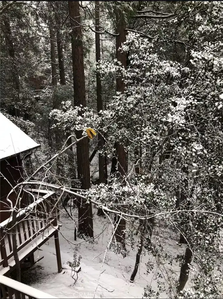 25370 Point Of Rocks Road, Idyllwild, CA 92549 - Image #3