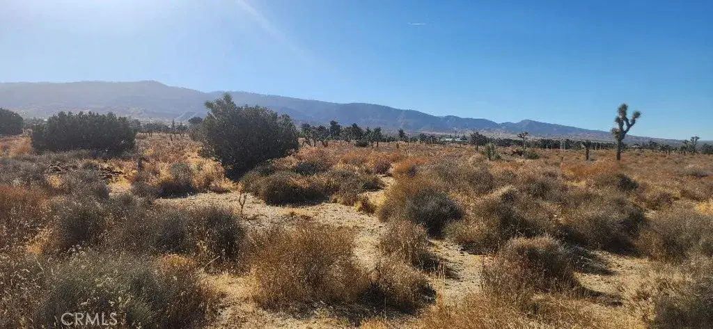 0 Silver Rock, Pinon Hills, CA 92372 - Image #1