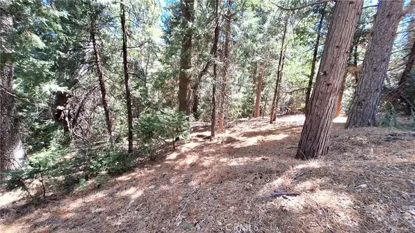 0 Cedar Pines, Cedarpines Park, CA 92322