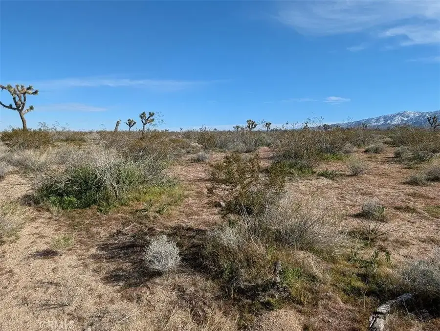 221 Avenue U, Palmdale, CA 93591 - #3