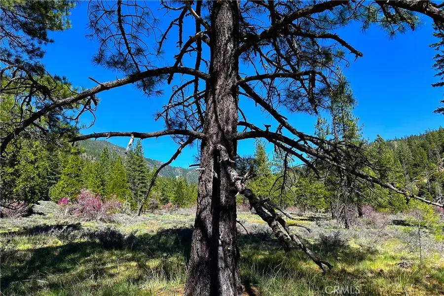 79402 State Highway 3, Trinity Center, CA 96091 - #2