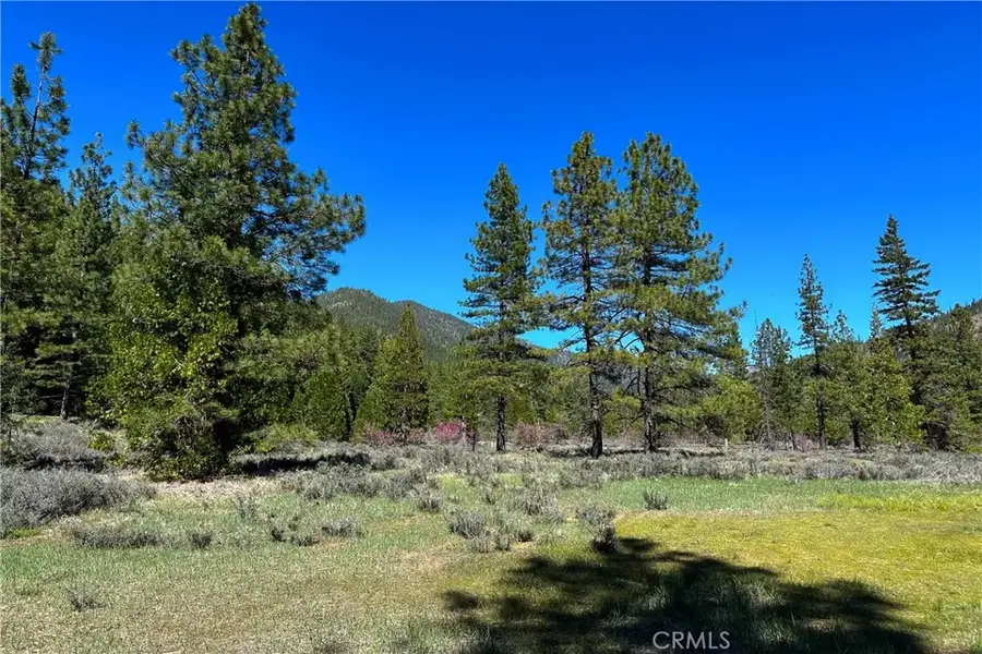 79402 State Highway 3, Trinity Center, CA 96091 - #3