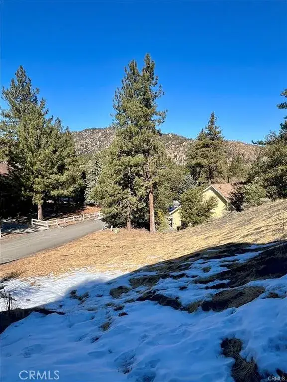 5411 Shirley J, Wrightwood, CA 92397 - #1