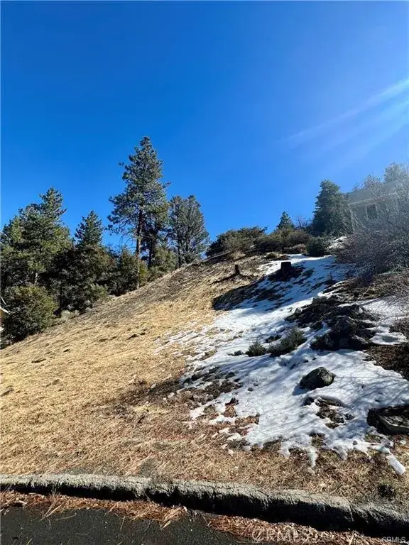 5411 Shirley J, Wrightwood, CA 92397 - #2