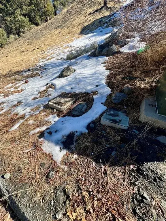 5411 Shirley J, Wrightwood, CA 92397 - #3