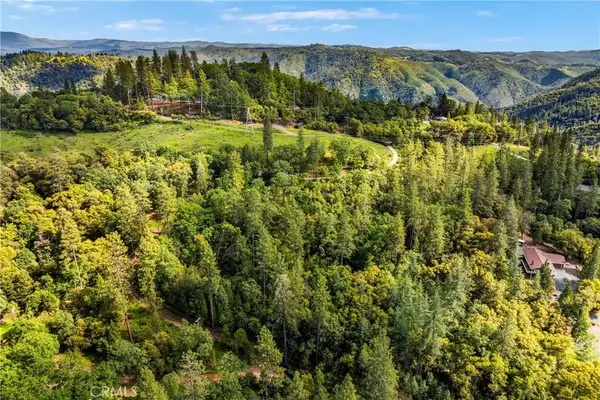 21324 Aqueduct, Pine Grove, CA 95665