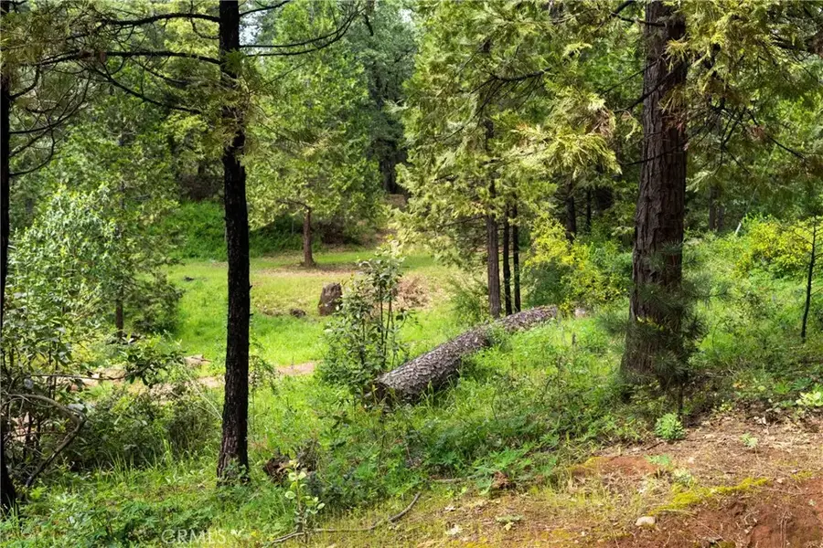 21324 Aqueduct, Pine Grove, CA 95665 - #2